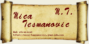 Mića Tešmanović vizit kartica